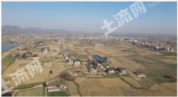 荆门钟祥市 2000亩 水田 经营权出租