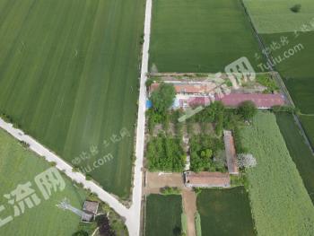 荆门钟祥市 200亩 旱地 经营权出租