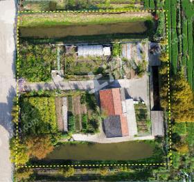 上海浦东新区 3亩 农村宅基地 使用权合作