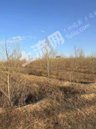 赤峰林西县 129.02亩 其它林地 经营权转让