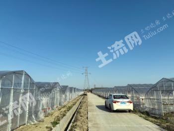 嘉兴桐乡市 20亩 设施农用地 经营权出租