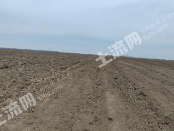 佳木斯抚远市 3000亩 旱地 经营权出租