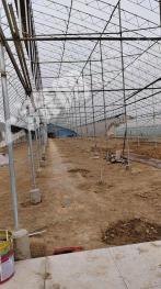 大连甘井子区 4.5亩 旱地 经营权出租