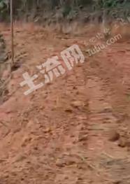 肇庆怀集县 560亩 灌木林地 经营权出租