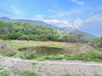 荆门钟祥市 74.47亩 水库水面 经营权出租