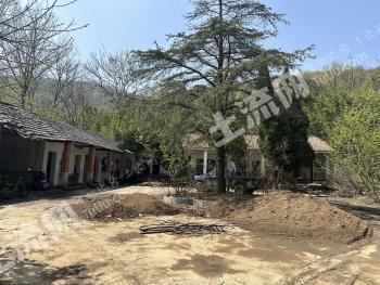 荆门钟祥市 7亩 农村宅基地 使用权出租