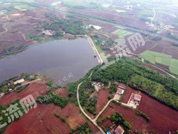 荆门钟祥市 1000亩 旱地 经营权出租