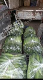 哈尔滨呼兰区 2.21亩 其它园地 经营权出租