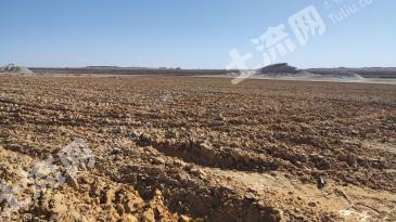 阿勒泰福海县 440.76亩 水浇地 经营权出租