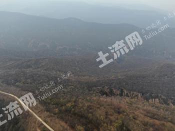 平凉泾川县 651.53亩 乔木林地 经营权转让