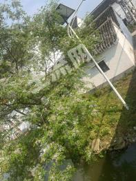 上海青浦区 100平方米 农村宅基地 使用权合作