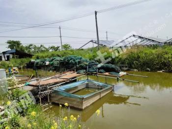 淮安淮阴区 270亩 坑塘水面 经营权出租