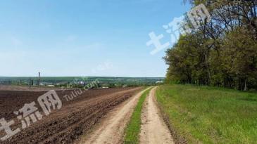 牡丹江林口县 14亩 旱地 经营权转让