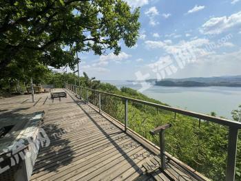 长春九台区 650亩 其它林地 经营权转让