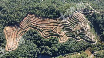 玉溪峨山彝族自治县 341.9亩 果园 经营权转包