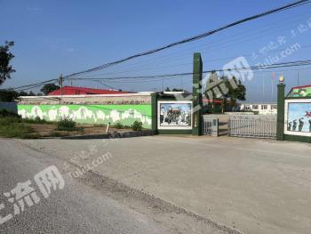 石家庄无极县 14663.79平方米 厂房 使用权出租