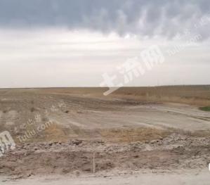 吉林白城 28000亩 盐碱地 使用权出租