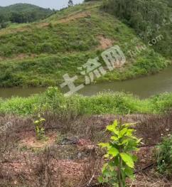 南宁邕宁区 58亩 其它林地 经营权转让