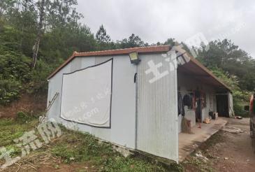 河源紫金县 100亩 设施农用地 经营权出租