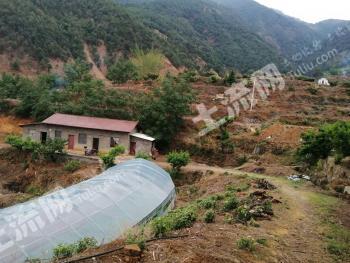 攀枝花米易县 50亩 水浇地 经营权出租
