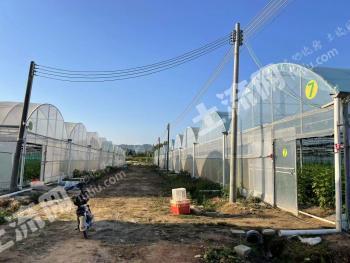 汕尾海丰县 261亩 旱地 经营权出租