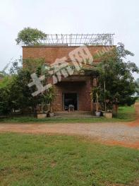 云浮新兴县 70亩 水浇地 经营权出租