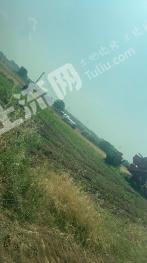 随州随县 600亩 旱地 经营权出租