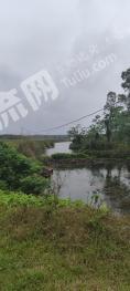 海口琼山区115亩坑塘水面经营权出租