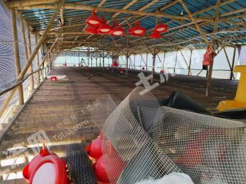 肇庆高要区 20亩 坑塘水面 经营权出租