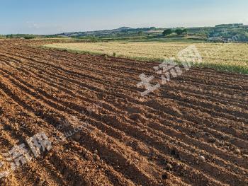 烟台莱阳市 103亩 设施农用地 经营权出租