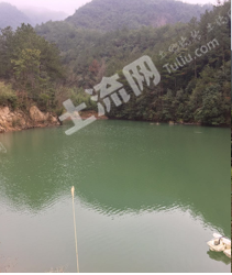 金华东阳市 140亩 农场 使用权转让