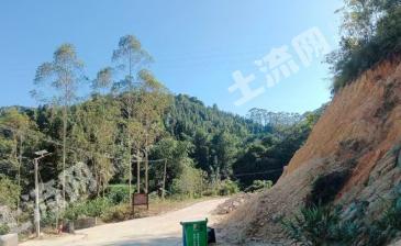 云浮云安区 60亩 荒山 使用权出租