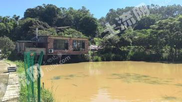 南宁兴宁区 30亩 农场 使用权转让