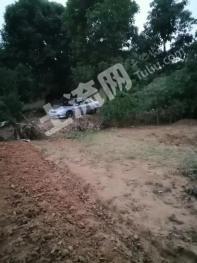 漳州芗城区 12.03亩 农村宅基地 使用权出租