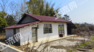 常德桃源县 90平方米 农村宅基地 使用权出租