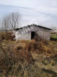 黄冈麻城市 100亩 坑塘水面 经营权出租