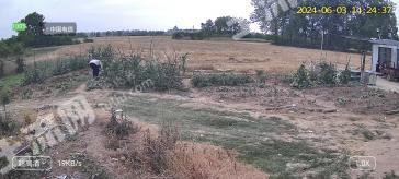 信阳息县 273.56亩 水浇地 经营权出租