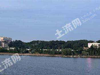 岳阳岳阳楼区 48.02亩 城镇住宅用地 使用权转让