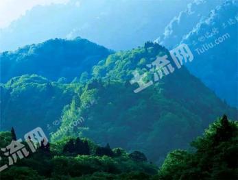 绵阳北川羌族自治县 291.61亩 灌木林地 经营权转包