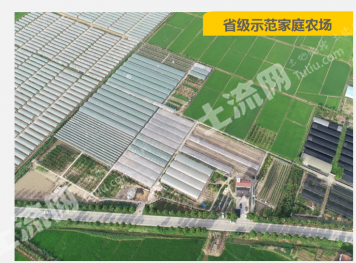 岳阳华容县 42.02亩 果园 经营权转让