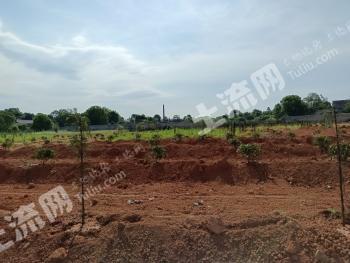 长沙浏阳市 24.76亩 工业用地 使用权出租