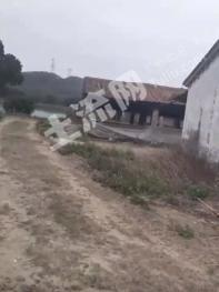 阳江阳东区 180亩 农场 使用权转让