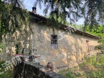 荆门钟祥市 240平方米 农村宅基地 使用权出租