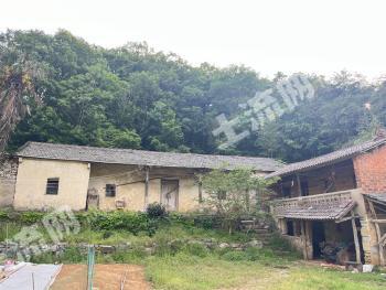 荆门钟祥市 230平方米 农村宅基地 使用权出租