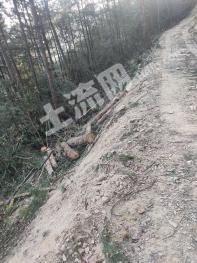 遵义余庆县 4500亩 其它林地 经营权转让