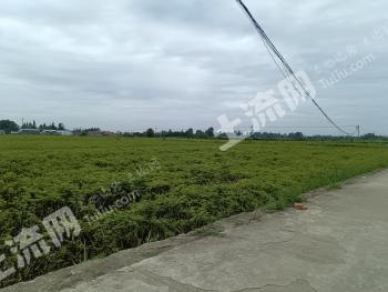 德阳什邡市 472.94亩 水田 经营权出租