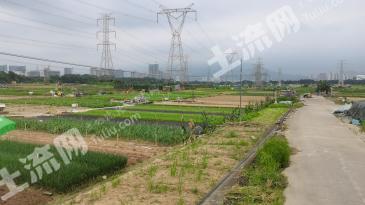 深圳坪山新区 887亩 水浇地 经营权转让