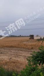 保定安国市 3.3亩 水浇地 经营权出租