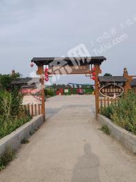 濮阳濮阳县 410亩 果园 经营权出租