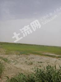 巴音郭楞且末县 10000亩 水浇地 经营权出租